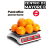 (VINS-30) BASCULA VINSON 30KG / 5G - Imagen 4
